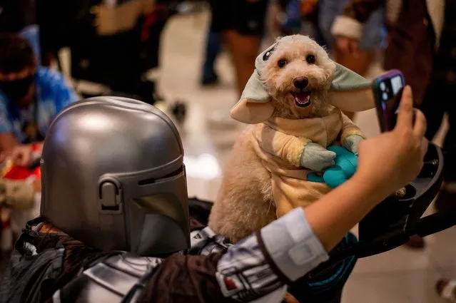 A pet owner dressed as The Mandalorian takes a picture with her dog in a Grogu Baby Yoda costume during a Halloween pet costume competition, in Quezon City, Metro Manila, Philippines on October 30, 2022. (Photo by Lisa Marie David/Reuters)
