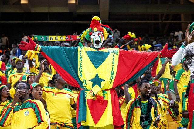 A Senegal supporter reacts during the FIFA World Cup 2026 Africa qualifiers group B match between Senegal and Togo at the Abdoulaye Wade Stadium in Diamniadio on March 25, 2025. (Photo by Patrick Meinhardt/AFP Photo)