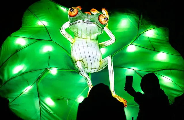 People take photographs of an illuminated lantern at the Lightopia Christmas festival in Heaton Park in Manchester, Britain, 24 November 2022. The display is open to the public from 24 November 2022 to 02 January 2023. (Photo by Adam Vaughan/EPA/EFE)