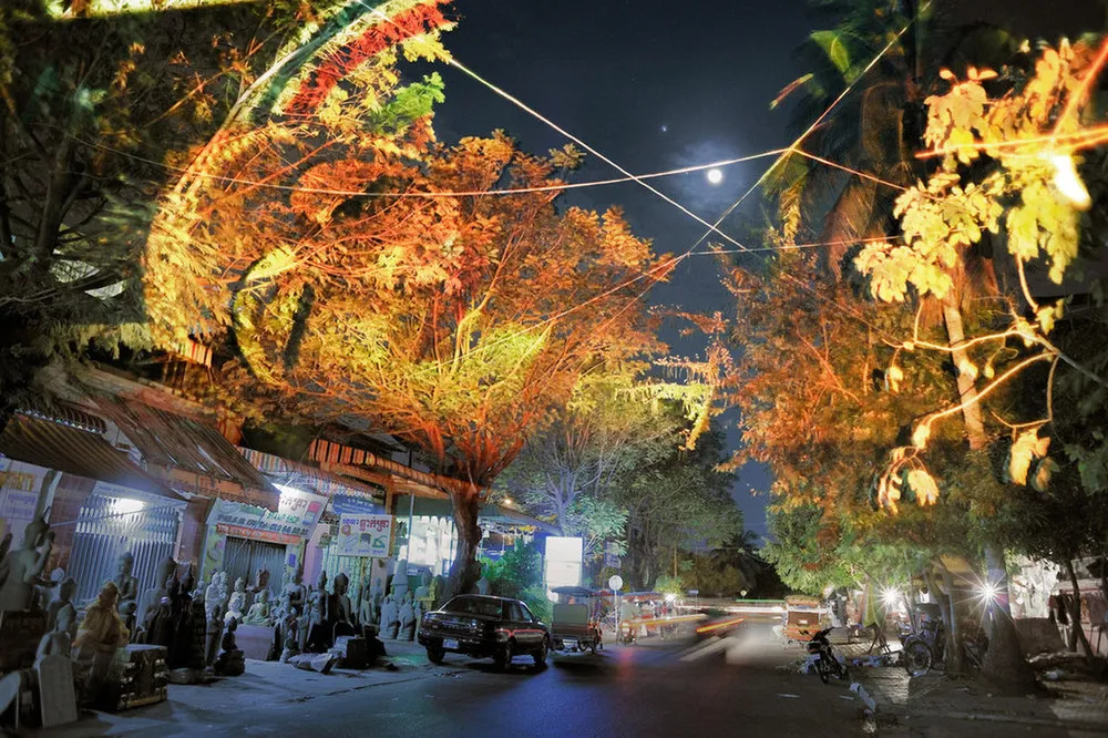 Cambodian Trees by Clement Briend