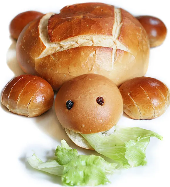 “Turtle Bread. An endangered species during breakfask, lunch and dinner!”. (Photo by Vanessa Dualib)