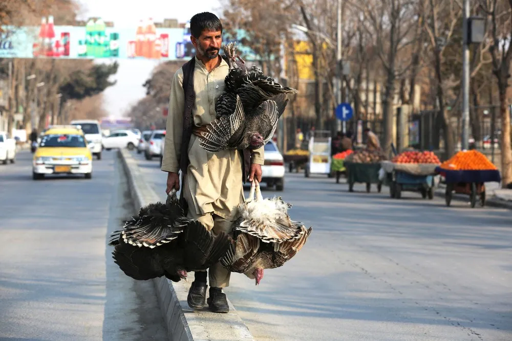 A Look at Life in Afghanistan