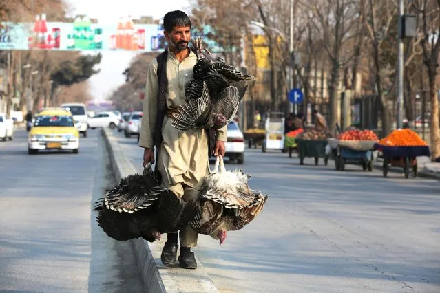 An Afghan man carries turkey along a street in Kabul on December 27, 2022. (Photo by AFP Photo/Stringer)