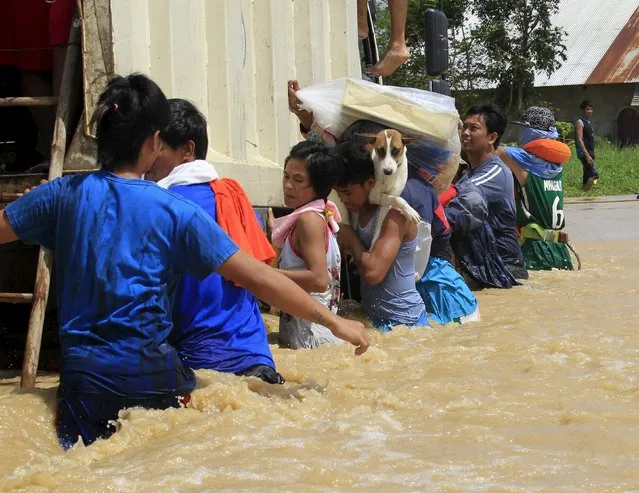 Residents hold on a truck while they wade in waist-deep flood waters brought by typhoon Koppu that battered Candaba town, Pampanga province, north of Manila October 20, 2015. (Photo by Romeo Ranoco/Reuters)