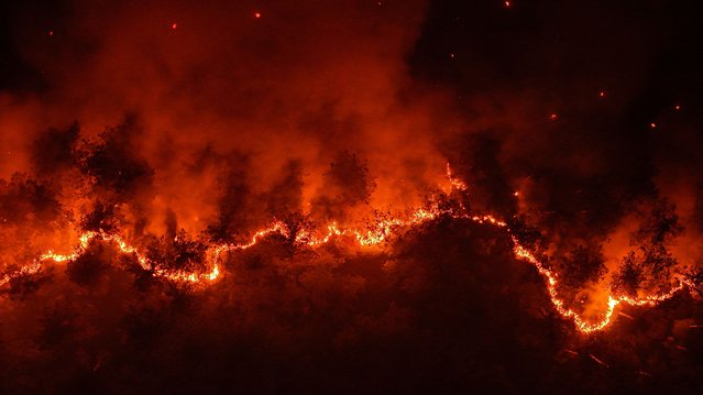 An aerial view of rising flames as firefighting efforts continue after a forest fire, which had been largely brought under control in the morning, reignites due to strong winds in Orhaneli district of Bursa, Turkiye, on July 27, 2025. (Photo by Alibey Aydin /Anadolu via Getty Images)