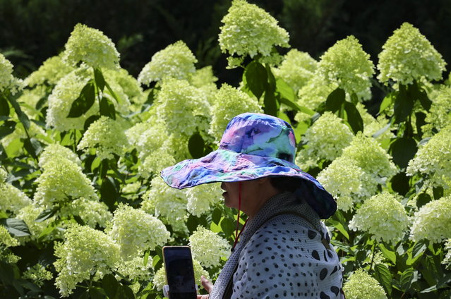 A woman walks on the street on a hot summer day in Moscow, Russia, 29 July 2025. The temperature in the Moscow region reached 31 degrees Celsius. (Photo by Yuri Kochetkov/EPA)