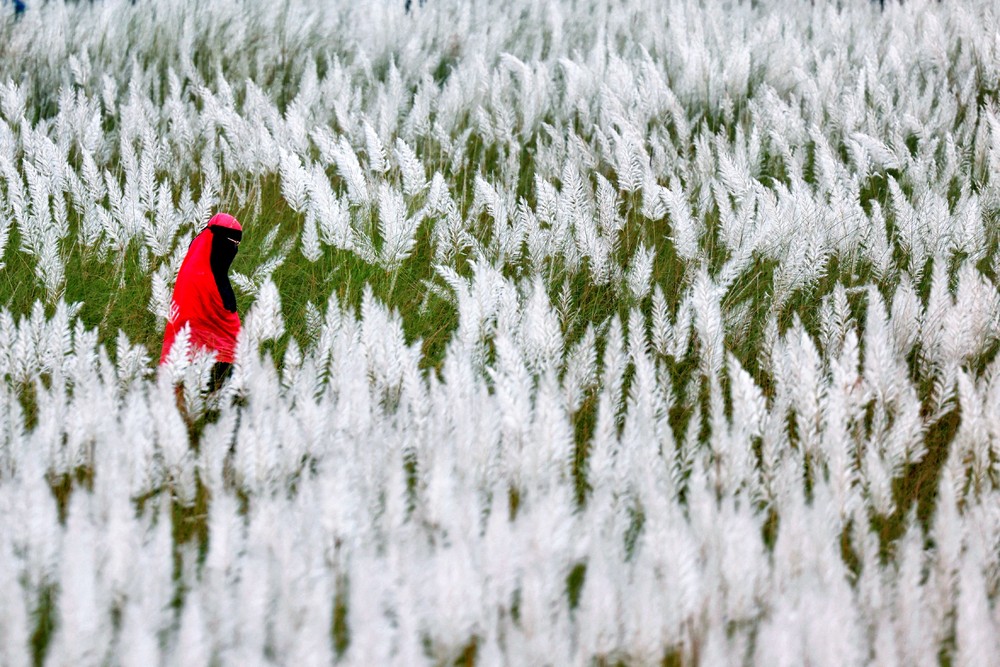 A Look at Life in Bangladesh