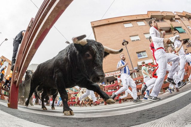 “Mozos” or bull-runners take part in the fourth day bull run at San Sebastian de los Reyes in Madrid, Spain, 29 August 2024. The fiestas at San Sebastian de los Reyes are known as 'Pamplona Chica' (little Pamplona) and are held every year in August. (Photo by Rodrigo Jimenez/EPA)