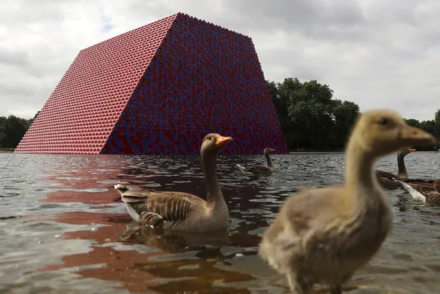 Ducks and ducklings paddle in front of Christo's work The London Mastaba, on the Serpentine in Hyde Park, London on June 18, 2018. (Photo by Simon Dawson/Reuters)