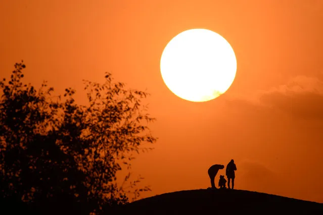 Tourists travel during sunset time in Tarim, Xinjiang Uygur autonomous region, China October 27, 2016. (Photo by Reuters/China Daily)