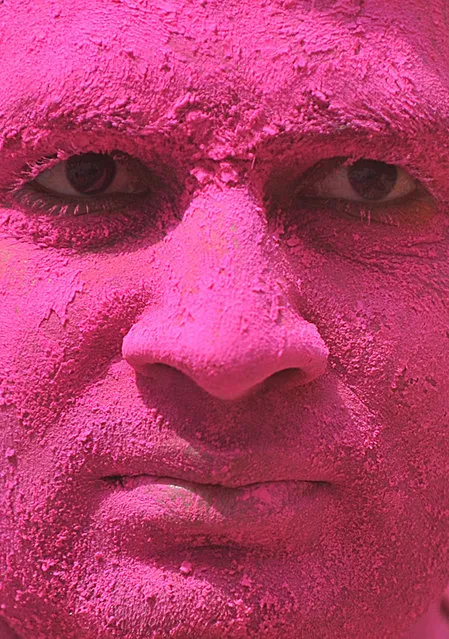 Indian reveller is covered with coloured powder during Holi celebrations in Hyderabad on March 6, 2015.  Holi, also called the Festival of Colours, is a popular Hindu spring festival observed in India at the end of the winter season on the last full moon day of the lunar month.  AFP PHOTO / Noah SEELAM        (NOAH SEELAM/AFP/Getty Images)