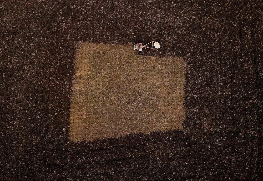 A Look at Life in China