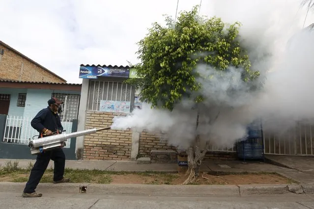 A municipal health worker carries out fumigation on a street as part of the city's efforts to prevent the spread of the Zika virus vector, the Aedes aegypti mosquito, in Tegucigalpa, Honduras, January 30, 2016. (Photo by Jorge Cabrera/Reuters)