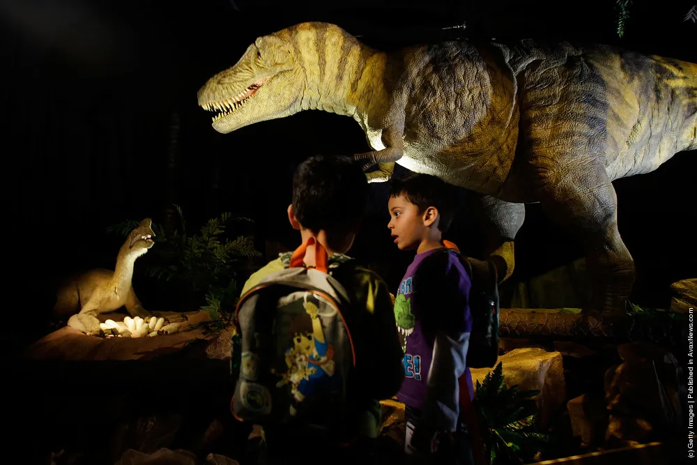 The Natural History Museum Launch Their New Exhibition Age Of The Dinosaur