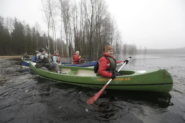 People canoe on a flooded meadow in Soomaa national park, Estonia, February 7, 2016. (Photo by Ints Kalnins/Reuters)