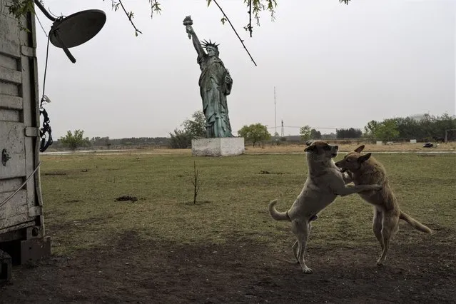 Dogs frolic near a 49-foot replica of a Statue of Liberty, in General Rodriguez, Argentina, Saturday, October 15, 2022. The structure is a leftover from the “Liberty Motocross” circuit operated there years ago, according to the caretaker of the property, Pablo Sebastián. (Photo by Rodrigo Abd/AP Photo)
