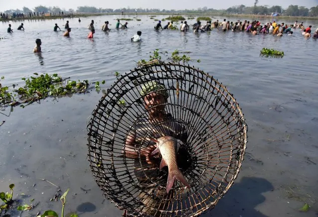 A man belonging to the Tiwa tribe shows his catch as he participates in a community fishing session using a traditional tool, during the Jonbeel Mela festival where people belonging to different tribes exchange their merchandise with locals through a barter system, in the Morigaon district, in the northeastern state of Assam, India January 20, 2017. (Photo by Anuwar Hazarika/Reuters)