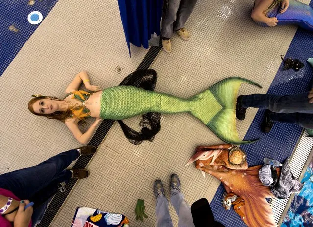 Merfolk gather at MerMania 2017, the world's largest gathering of amateur and professional mermaids and mermen on January 21, 2017. Mermaids and mermen gathered in spectacular style at the world’s largest convention for merfolk, based in the Greensboro Aquatic Center in North Carolina, America. The merfolk extravaganza lasts three days, with over 300 scale enthusiasts gathering for a fin-tastic time. And they work their tails off to be everything a mermaid, merman, or merfolk (as their collectively known) could want to be. (Photo by Brian Cahn/ZUMA Wire/Rex Features/Shutterstock)