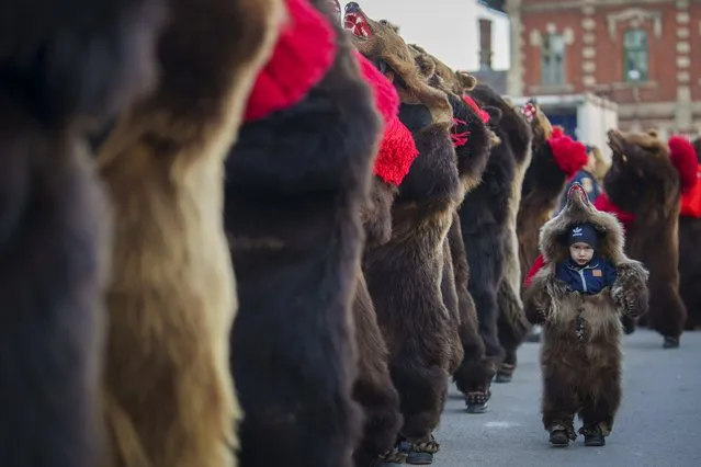 A child member of a traditional bear pack takes part in a parade on the main street before performing in a festival in Moinesti, northern Romania, Wednesday, December 27, 2023. The dancing bears tradition originates from the pre-Christian era, when dancers wearing colored costumes or animal furs, toured from house to house in villages singing and dancing to ward off evil. (Photo by Andreea Alexandru/AP Photo)