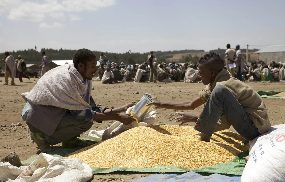 Ethiopia's Drought