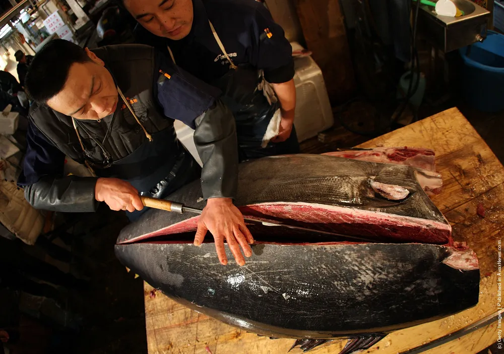 Tsukiji Fish Market