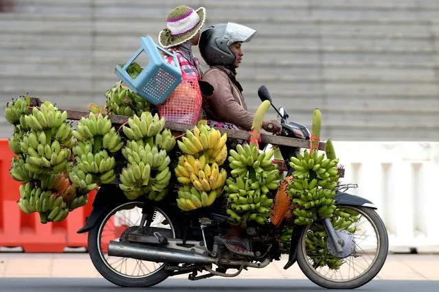 A Cambodian man rides his motorbike loaded with bananas traveling along a street in Phnom Penh on March 6, 2016. From glitzy malls and high-rise flats to five-star hotels, a luxury building boom in Phnom Penh is transforming a capital once reduced to a ghost town into one of Asia's fastest growing cities. (Photo by Tang Chhin Sothy/AFP Photo)