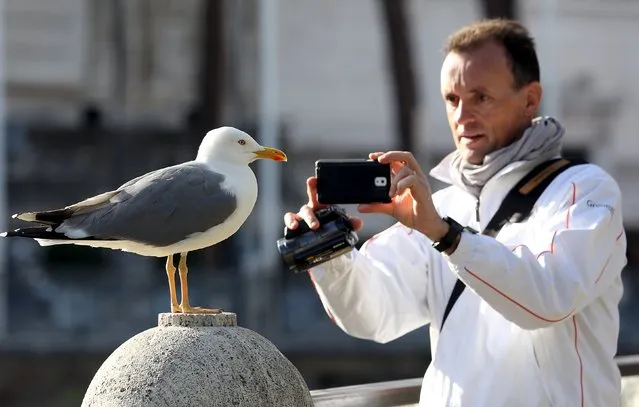 A tourist shoot a picture of a seagull with mobile phone at the Imperial Forum (Fori Imperiali) street downtown Rome, Italy, March 23, 2016. (Photo by Stefano Rellandini/Reuters)