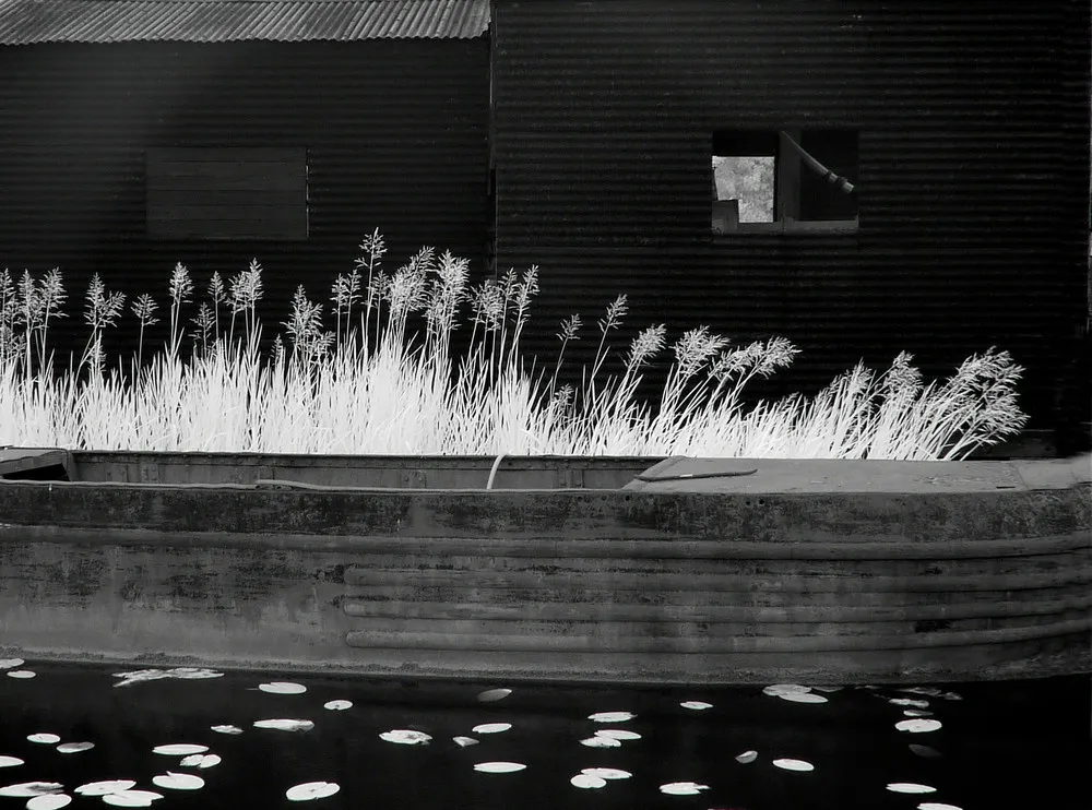 UK International Garden Photographer of the Year 2019: Black & White