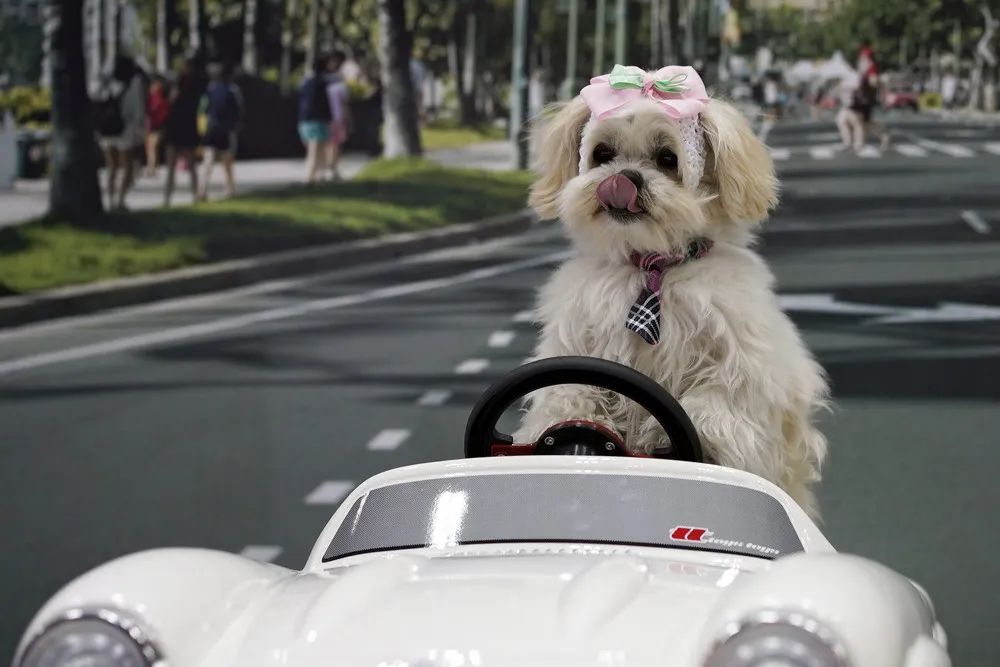 The Day in Photos – April 1, 2016