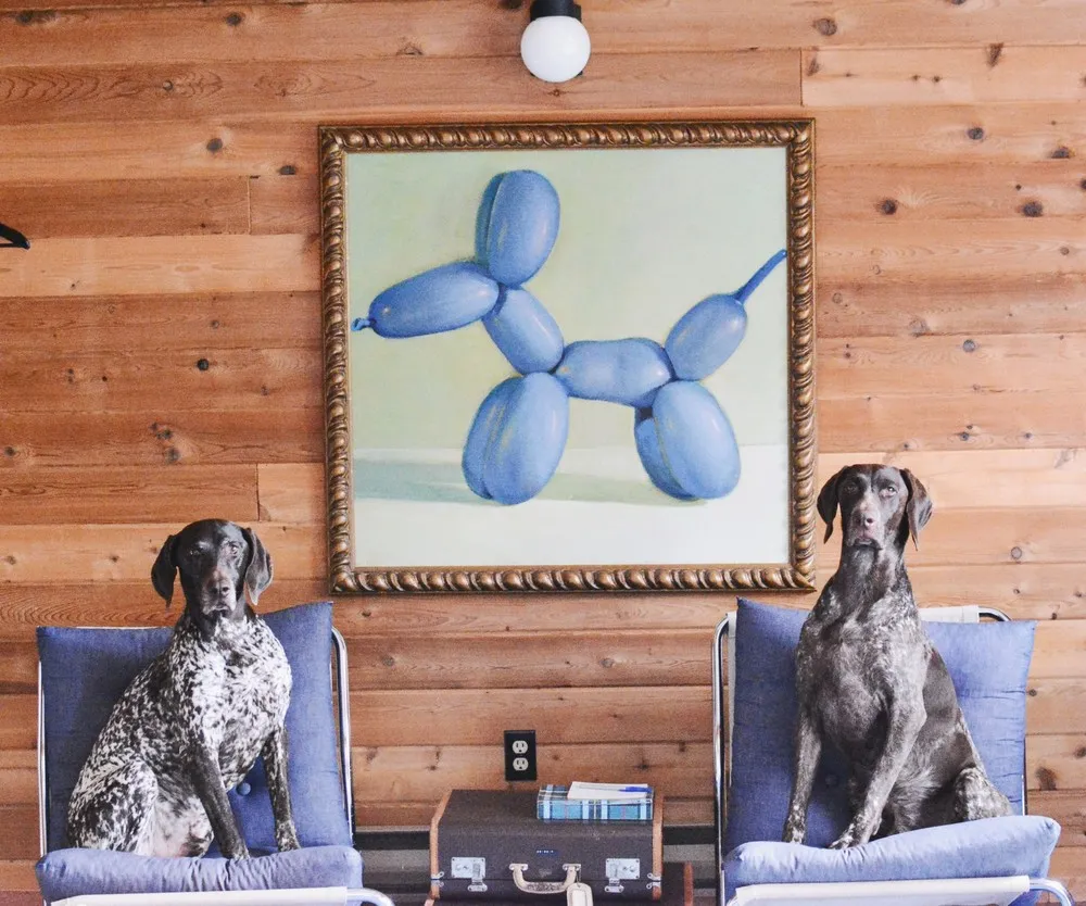 The Bond of Two German Shorthaired Pointers