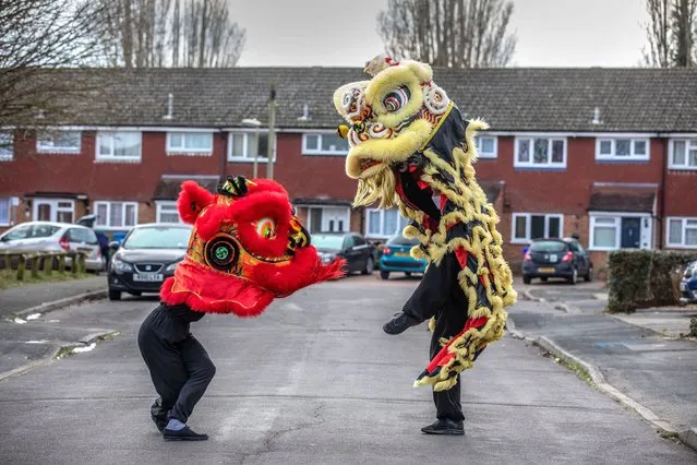 Lion dance instructor Matt Williams from the World Eagle Claw Association UK gives his costumes an airing with Greg Currie in Aldershot, United Kingdom on February 11, 2021, as all his bookings and performances have been cancelled because of lockdown. (Photo by Jeff Gilbert/Rex Features/Shutterstock)