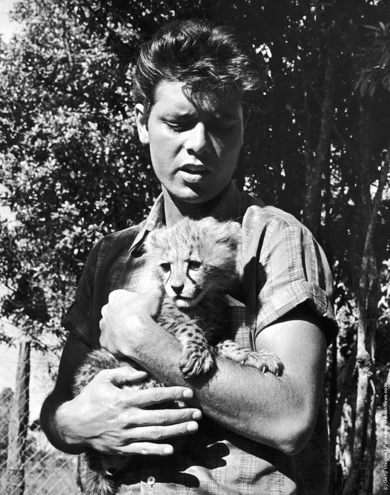 Animal Baby. Part IV