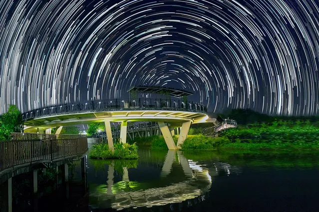 Star trails photographed by Justin Ng at the backdrop of a bridge in Punggol, Singapore. These astonishing images of night sky are captured by Singapore based photographer Justin Ng. The pictures were taken between November 2013 to January 2014. It show's star trail caused by the earth's rotation and also can be achieved by zooming the DSLR lens inward or outward in small steps using a dedicated motorized zooming device. (Photo by  Justin Ng/Barcroft Media)