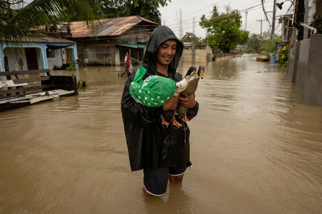 Jasper Miranda, 26, wades through floodwaters with his pet ducks that he saved from their flooded house during Tropical Storm Yagi, locally known as Enteng in Apalit, Pampanga, Philippines on September 5, 2024. (Photo by Eloisa Lopez/Reuters)