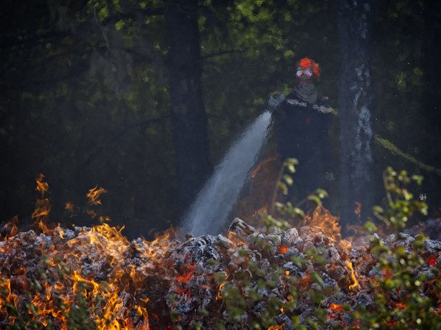A firefighter of the SDIS 37 fire department sprays water to extinguish a wildfire blaze in a forest in Genille, Central France, on June 18, 2022. Emergency services battled wildfires as France remained in the grip of an exceptional heatwave that has seen temperatures reach 40 degrees Celsius in the Touraine province. (Photo by Guillaume Souvant/AFP Photo)