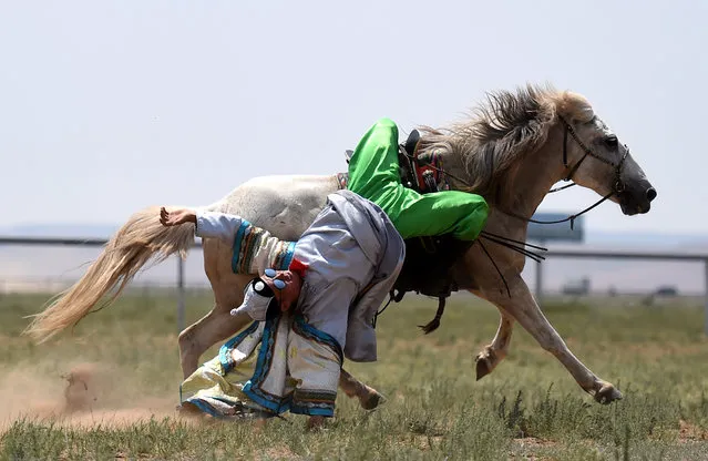 A herdsman performs for visitors on the prairie at Xilinhot, north China's Inner Mongolia Autonomous Region, July 2, 2017. Horses are important in Mongolian culture, which has more than 300 words for horses and a further 200 just for their color. However, riding a motorcycle once took place of horse-riding. The number of horses owned by herdsmen in the region has fallen from 2.4 million in 1975 to less than 700,000 in 2007. Since breeding horses was not profitable, many families sold their horses and bought motorcycles and cars. To preserve the endangered Mongolian horse and inherit the horse culture, protection efforts were made. In 2011, the region set up three breeding bases for Mongolian horses with a total investment of 18 million yuan per year to preserve Mongolian horses. Such protection efforts have seen the number of horses in Inner Mongolia increase 25 percent in a decade, reaching 880,000 last year. Also Horse-related events are also increasing in the region. (Photo by Ren Junchuan/Xinhua/Barcroft Images)