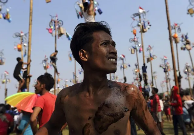 A man looks on during the “Panjat Pinang” event organised in celebration of Indonesia's 69th Independence Day at Ancol Dreamland Park in Jakarta August 17, 2014. The annual event sees participants working together to reach the top of slippery poles where prizes are hung. (Photo by Reuters/Beawiharta)