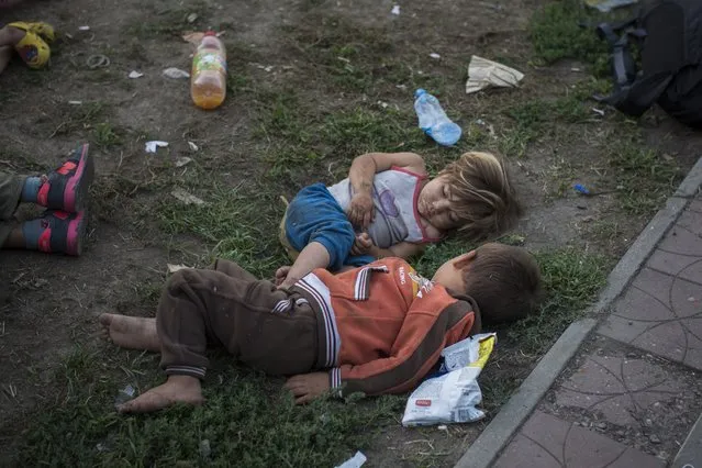 Syrian children sleep in a park in Belgrade, Serbia, early Sunday, August 30, 2015. Migrants  including many women with babies and small children, sleep in a park in central Belgrade while waiting for an opportunity to travel north to cross the border with Hungary and enter the European Union. (Photo by Santi Palacios/AP Photo)