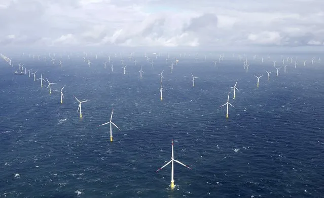 Power-generating windmill turbines are pictured at the “Amrumbank West” offshore windpark in the northern sea near the island of Amrum, Germany September 4, 2015. (Photo by Morris Mac Matzen/Reuters)