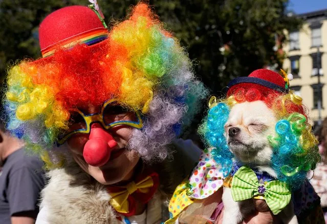 Dogs and their owners compete in the 32nd Tompkins Square Halloween Dog Parade on October 22, 2022, at Tompkins Square in New York City. (Photo by Timothy A. Clary/AFP Photo)