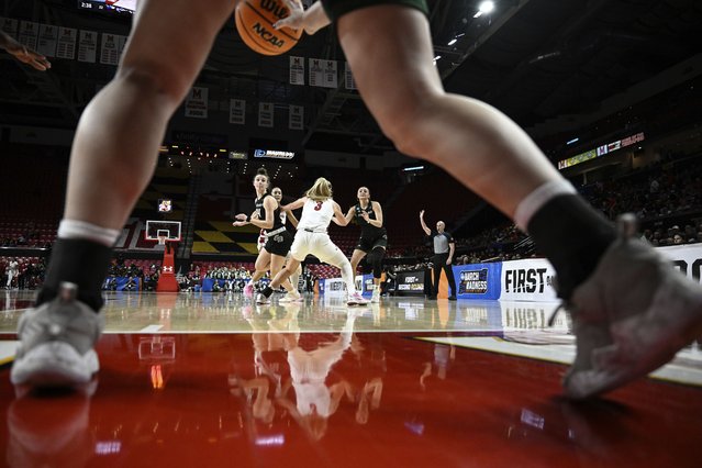 Green Bay guard Bailey Butler, foreground, inbounds the ball during the second half against Alabama in the first round of the NCAA college basketball tournament, Saturday, March 22, 2025, in College Park, Md. (Photo by Terrance Williams/AP Photo)