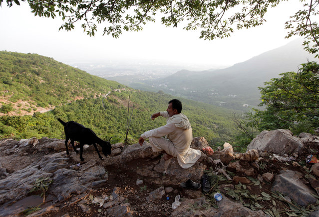 A man sits atop a hill overlooking Islamabad, Pakistan, July 30, 2016. (Photo by Faisal Mahmood/Reuters)