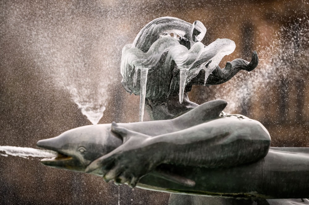 Pictures of the Year 2024, Part 017/240