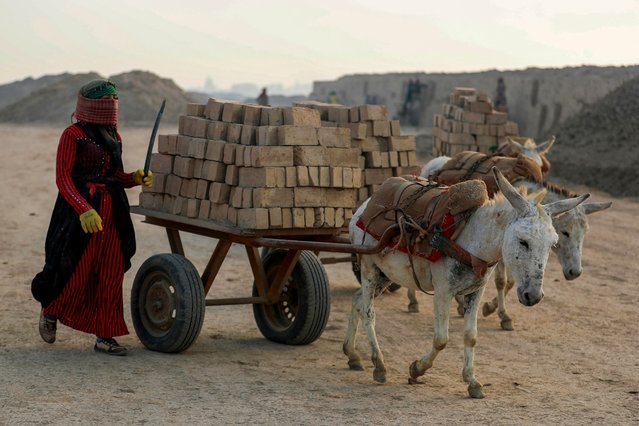 An Iraqi female labourer directs a donkey-pulled cart loaded with clay bricks, at a factory in al-Kifl district on the outskirts of Hilla in central Iraq, on February 10, 2025. Economic hardship has pushed five percent of Iraq's children into labour, a UN study found in 2018, often in harsh conditions and at a risk to their health. (Photo by Ahmad Al-Rubaye/AFP Photo)