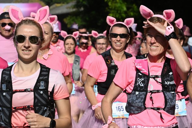 Several hundred runners take part in "Pig and Run", a 23.5 km race designed to prove the benefits of a pig-based and oysters diet, organised by the pig federation around the Etel riat, in Merlevenez, near Lorient, western France, on May 18, 2025. (Photo by Jean-Francois Monier/AFP Photo)