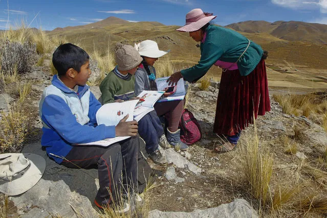 Raymunda Charca (R) helps her children (L-R) Juan Carlos, 13, Alvaro, 10, and Roxana Cabrera, 16, on top of a hill where they can pick up signal on their mobile phones to receive virtual classes during the COVID-19 novel coronavirus pandemic, near their house in the remote highland community of Conaviri, district of Manazo, in the Peruvian Andes close to Lake Titicaca and the border with Bolivia, early July 24, 2020. As schools remain closed due to the pandemic, the Cabrera children participate in the “Learn at Home” educational platform which was implemented by the Peruvian Ministry of Education. (Photo by Carlos Mamani/AFP Photo)