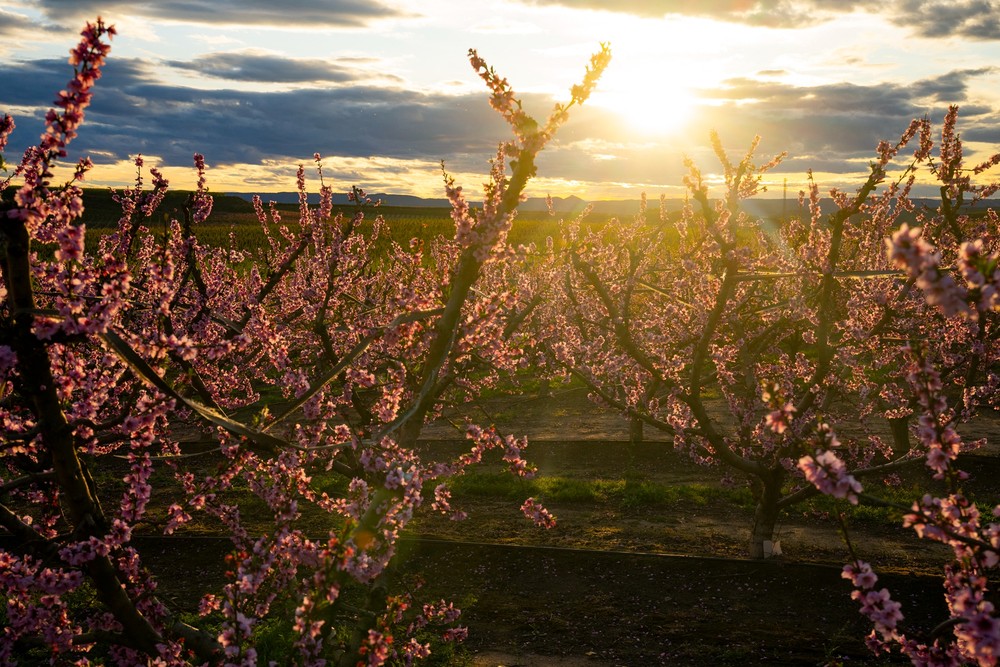 Sunrises and Sunsets