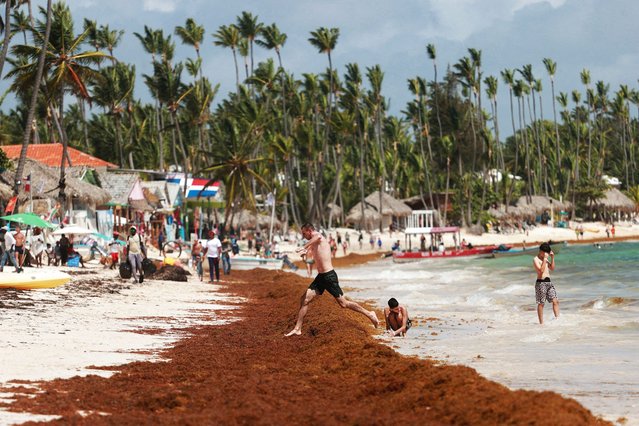 A beachgoer leaps over a bank of sargassum seaweed, a type of algae, in Punta Cana, Dominican Republic on July 9, 2025. (Photo by Erika Santelices/Reuters)