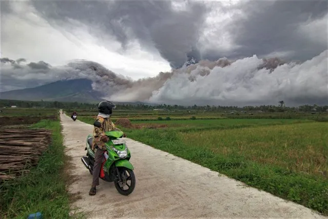A villager on motorcycle looks back at Mount Semeru volcano as it spews thick smoke, in Lumajang on February 5, 2023. (Photo by Agus Harianto/AFP Photo)