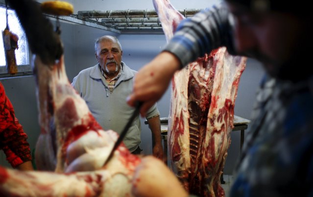 Lorenzo Tello (R) skins a dead wild boar as a hunter watches, after a hunt in Castell'Azzara, Tuscany, central Italy, October 23, 2015. (Photo by Max Rossi/Reuters)